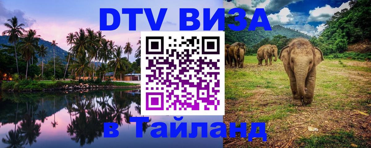 Сколько стоит DTV виза — актуальные цены, оформление даже без документов - Элиста 